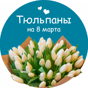 Купить тюльпаны в Стаханове